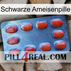 Black Ant Pill 06